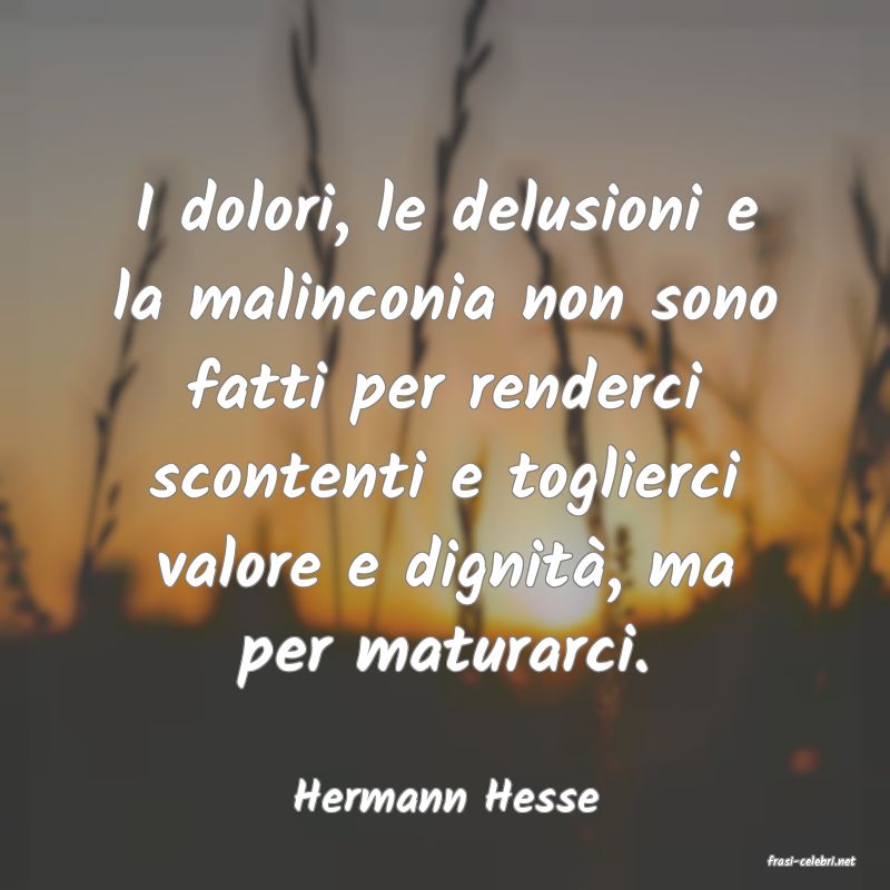 frasi di  Hermann Hesse