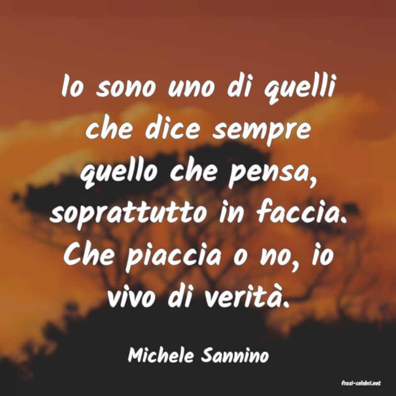 frasi di Michele Sannino