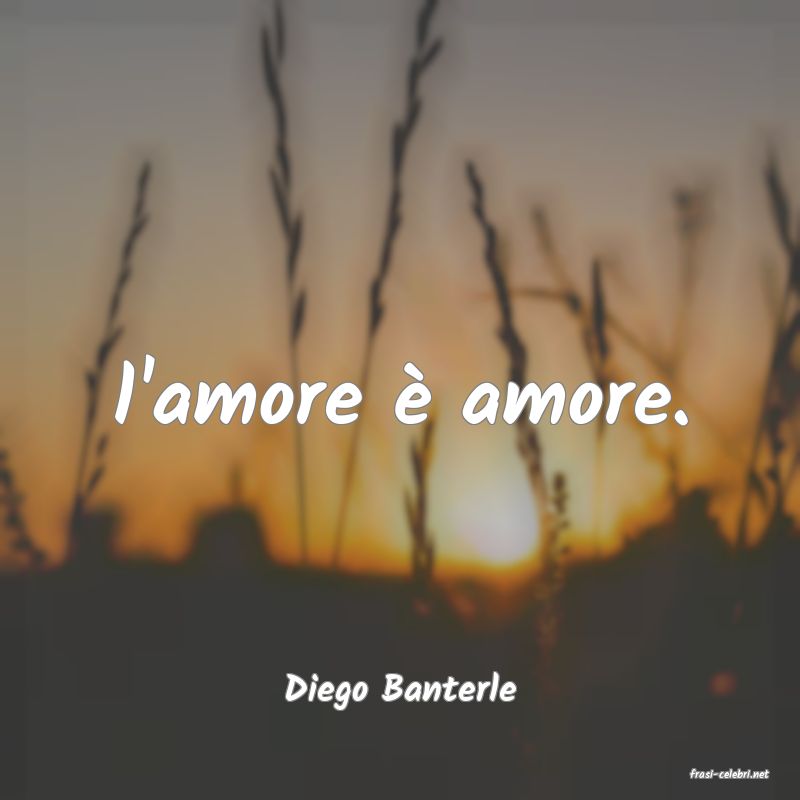 frasi di  Diego Banterle
