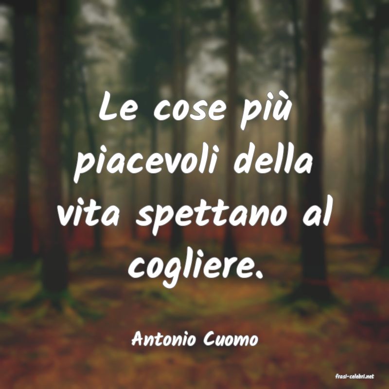 frasi di  Antonio Cuomo

