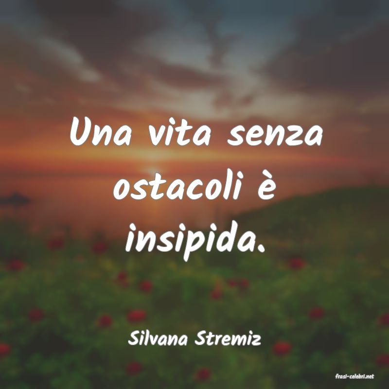 frasi di  Silvana Stremiz
