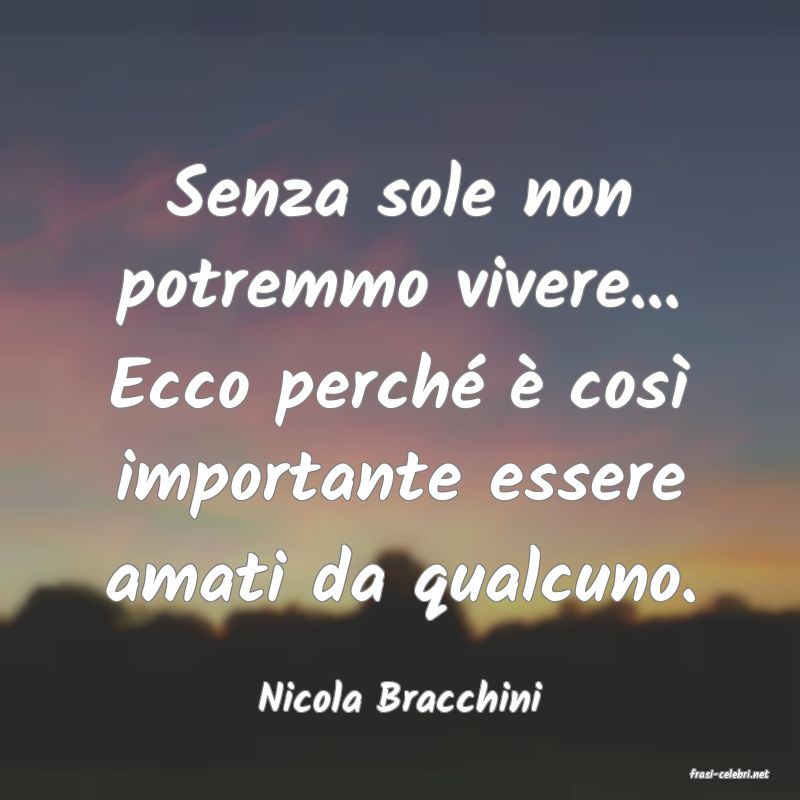 frasi di  Nicola Bracchini
