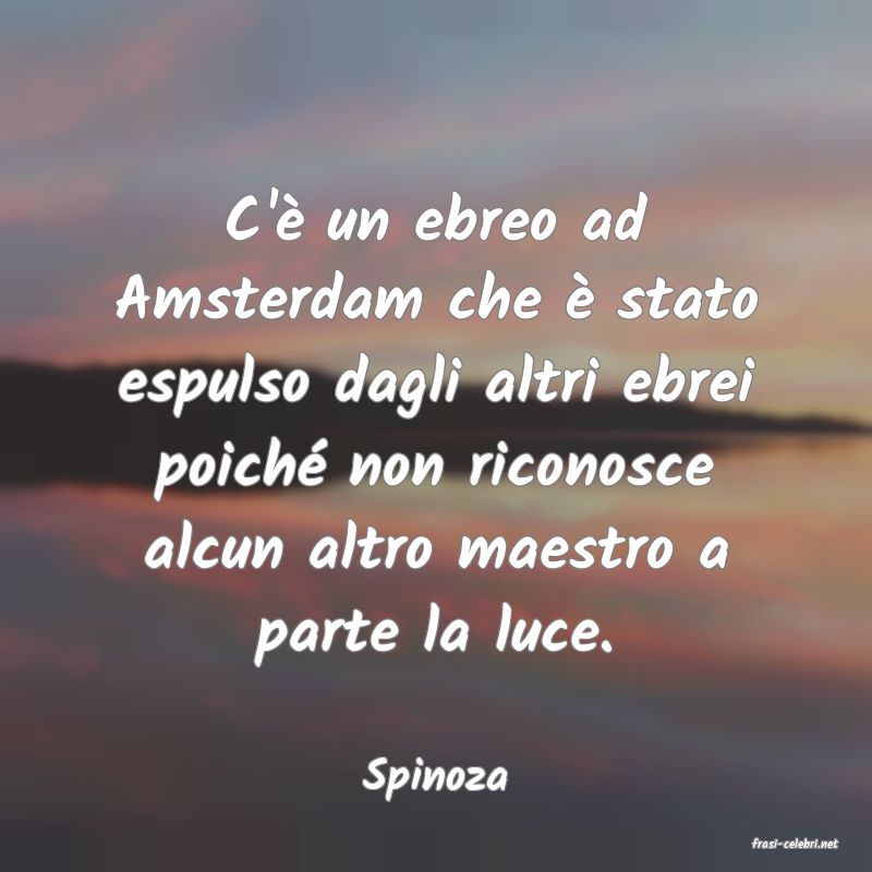 frasi di Spinoza