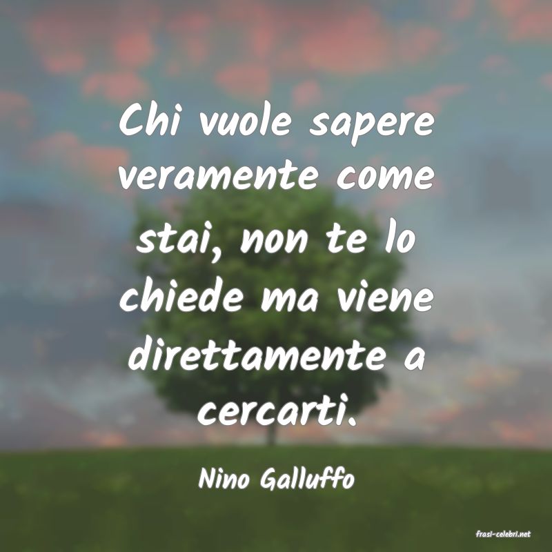 frasi di  Nino Galluffo
