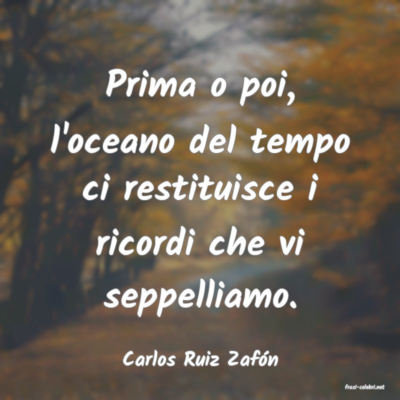 frasi di Carlos Ruiz Zafn