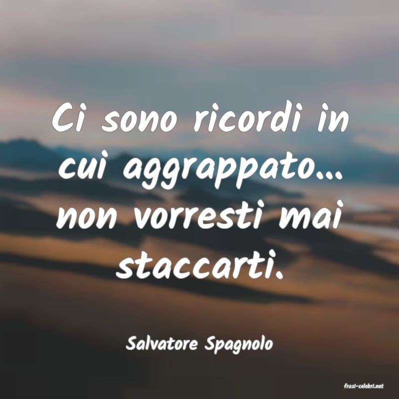 frasi di  Salvatore Spagnolo
