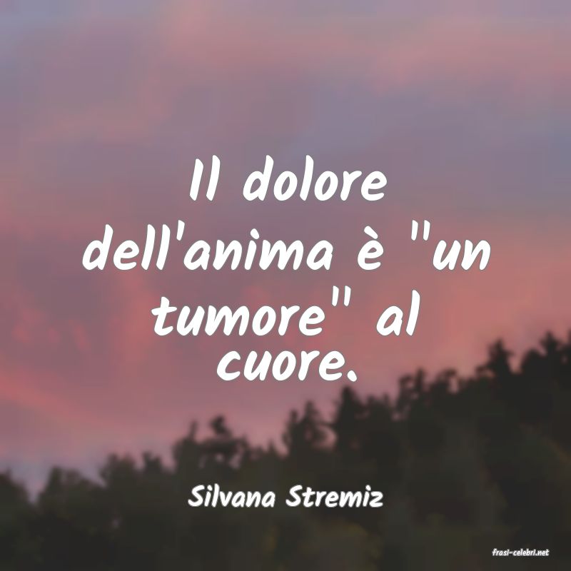 frasi di  Silvana Stremiz
