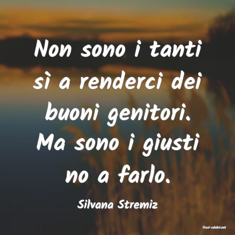 frasi di  Silvana Stremiz

