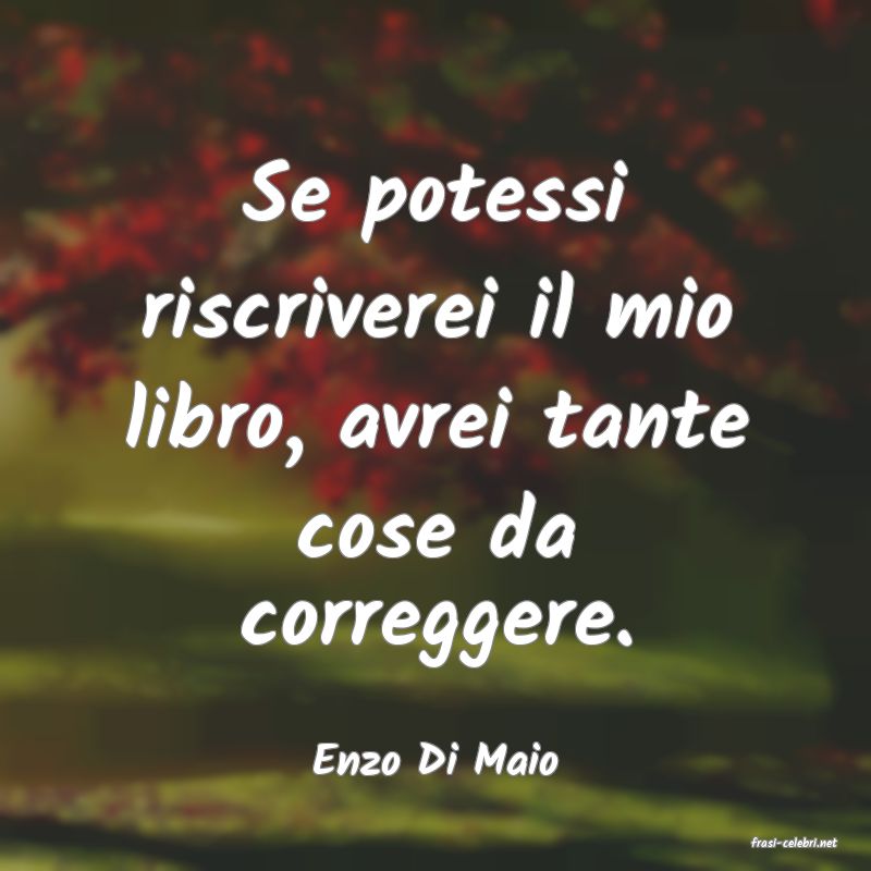 frasi di  Enzo Di Maio
