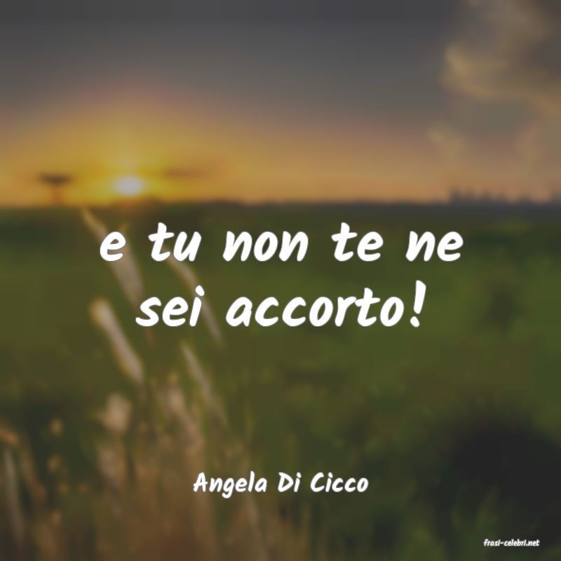 frasi di  Angela Di Cicco
