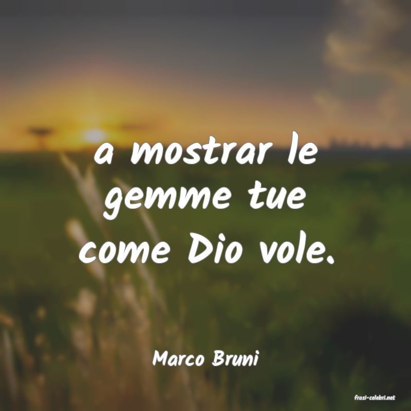 frasi di  Marco Bruni
