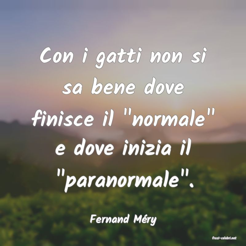 frasi di Fernand Mry
