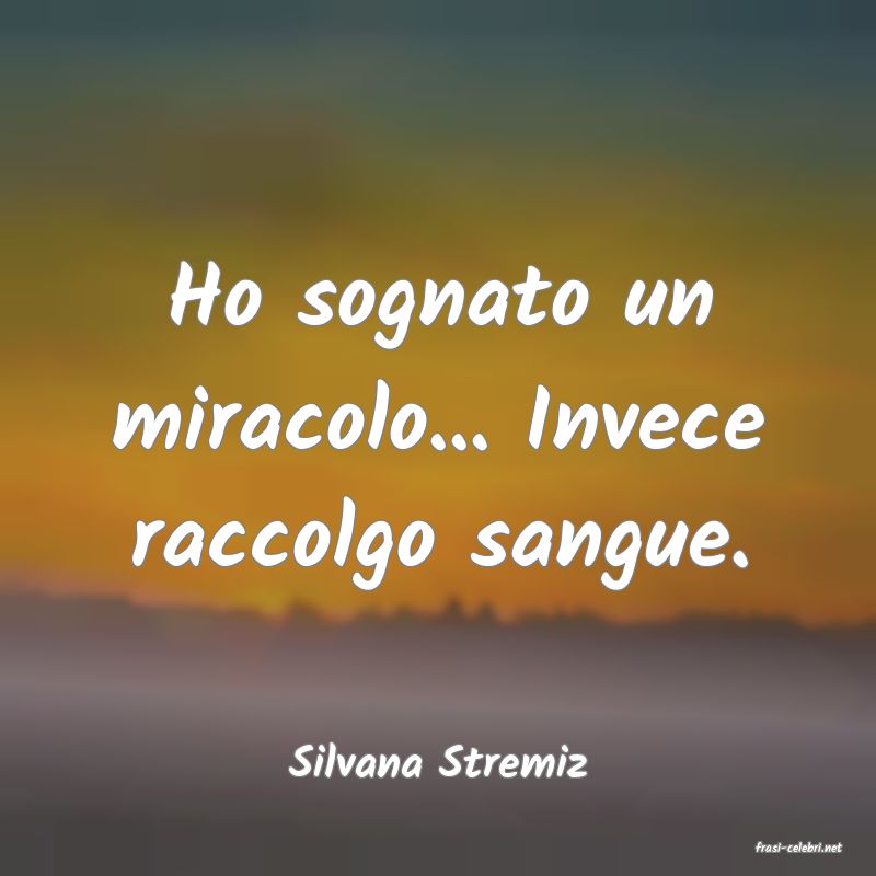 frasi di  Silvana Stremiz

