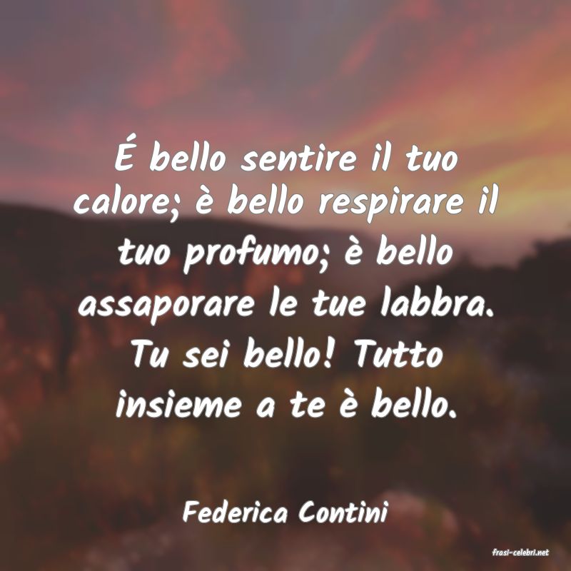 frasi di Federica Contini