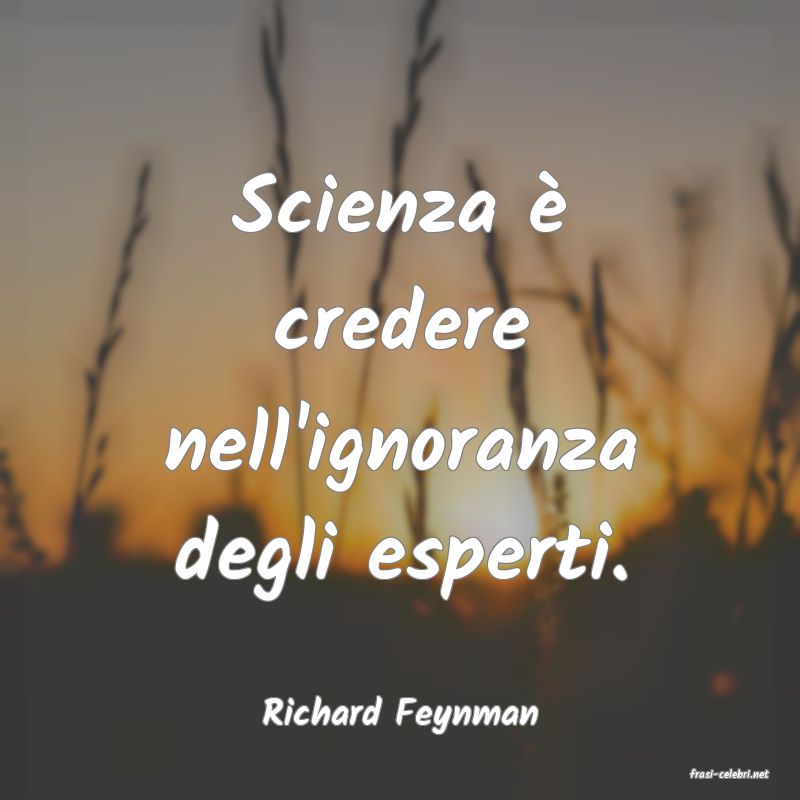 frasi di Richard Feynman
