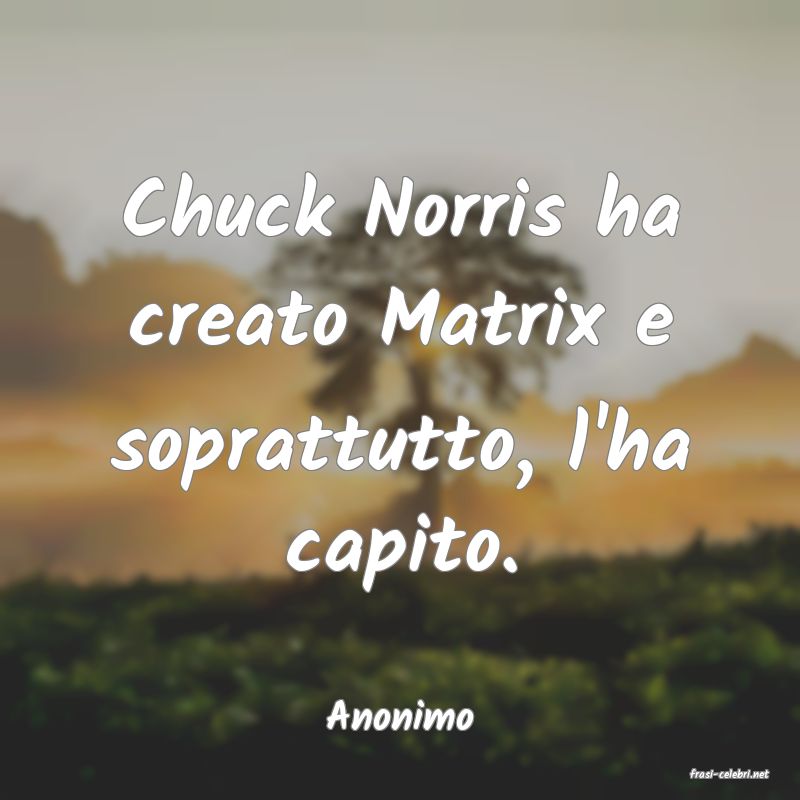 frasi di Anonimo