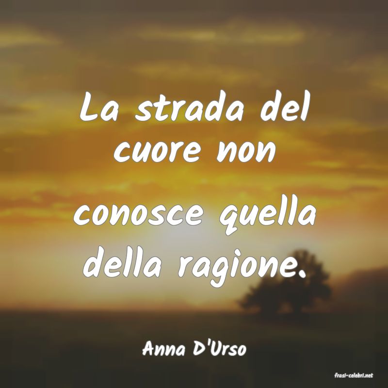 frasi di Anna D'Urso