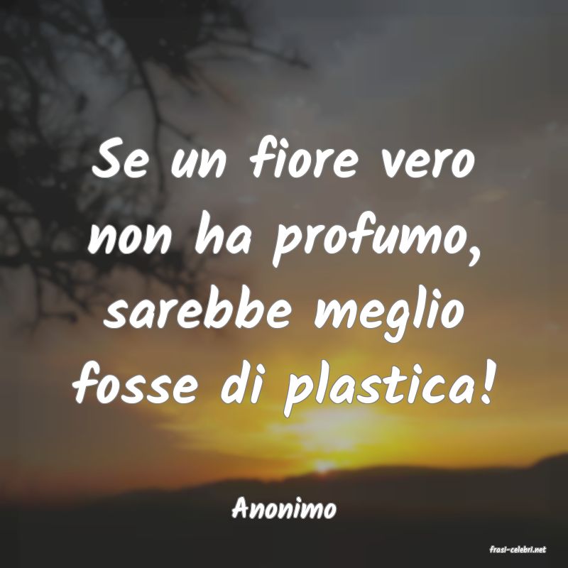 frasi di Anonimo