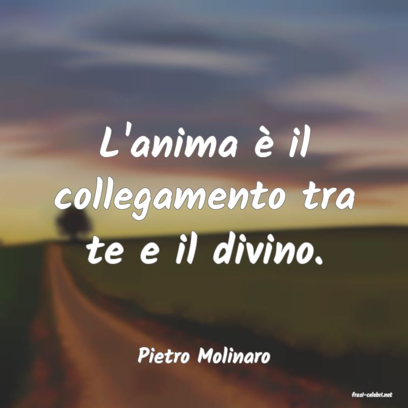 frasi di  Pietro Molinaro
