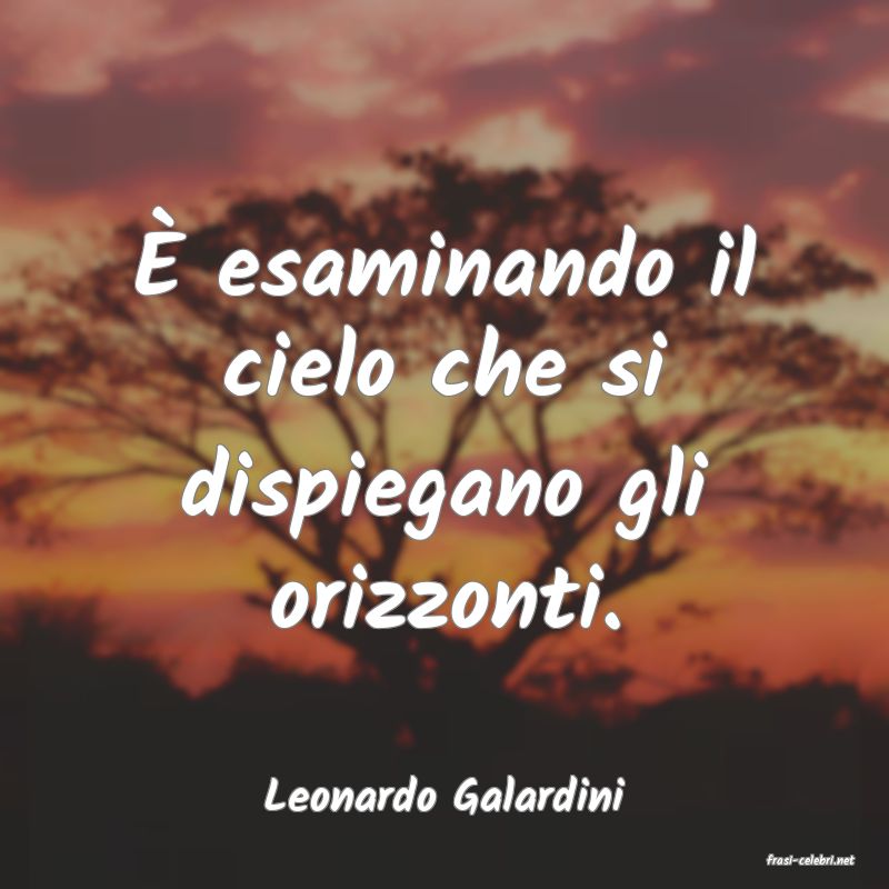 frasi di Leonardo Galardini