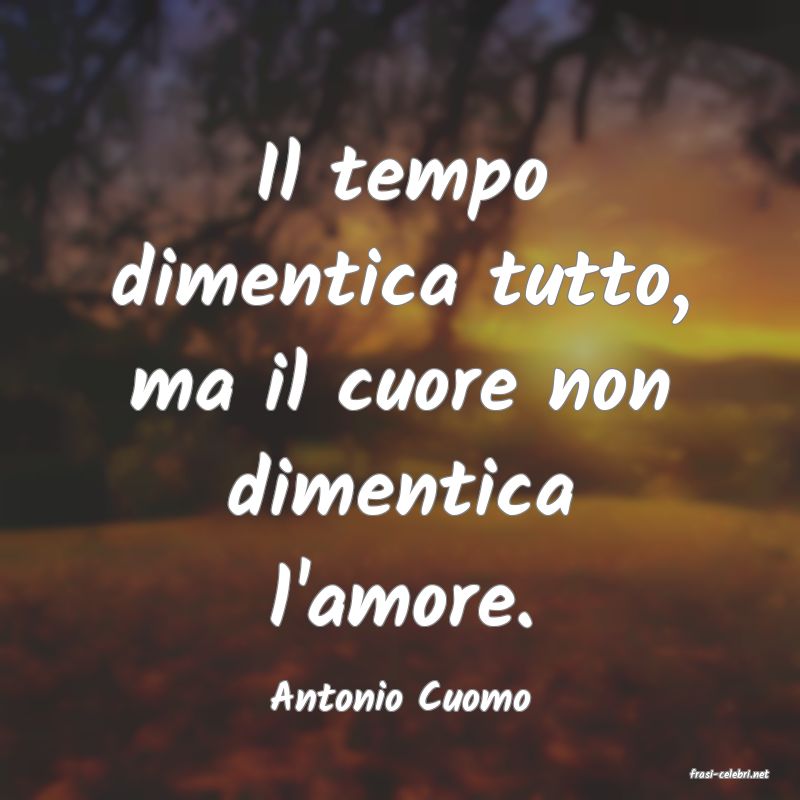 frasi di  Antonio Cuomo
