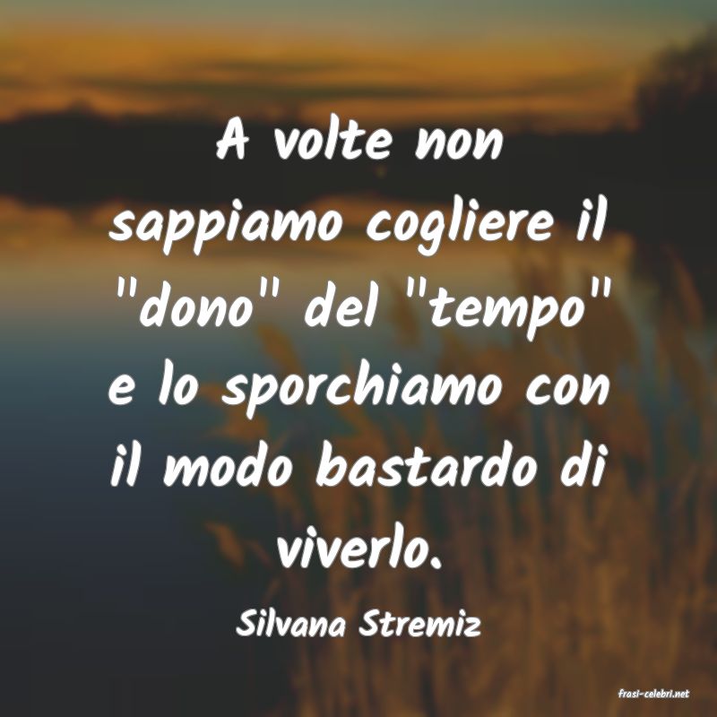 frasi di  Silvana Stremiz
