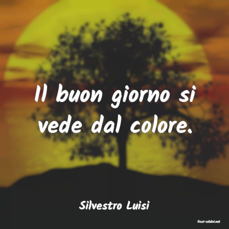 frasi di Silvestro Luisi