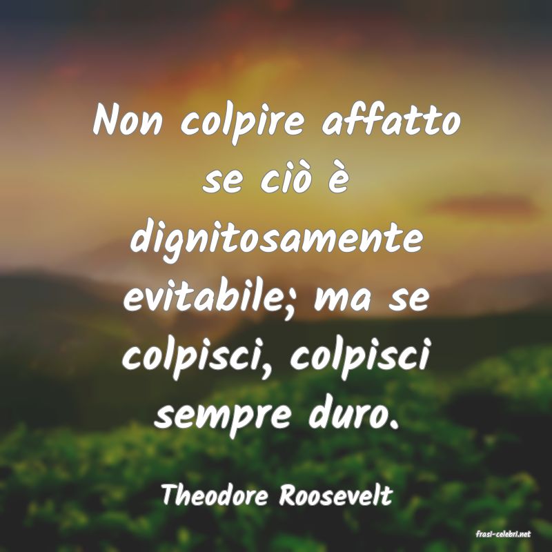 frasi di Theodore Roosevelt