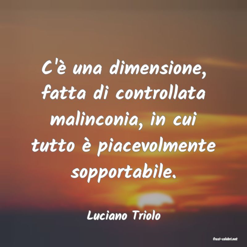 frasi di  Luciano Triolo
