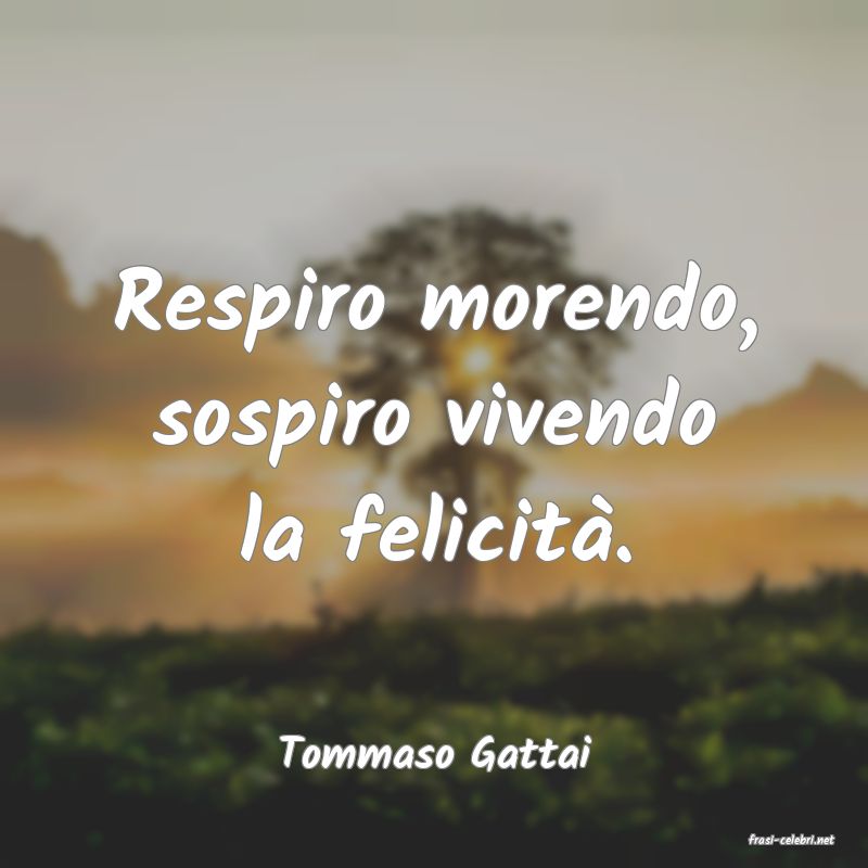 frasi di  Tommaso Gattai
