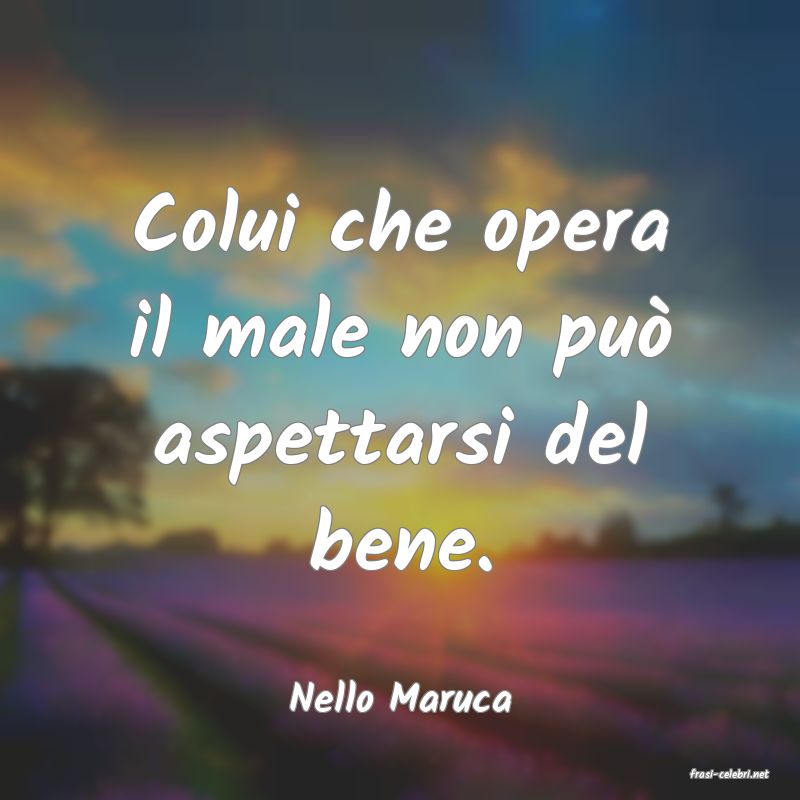 frasi di  Nello Maruca
