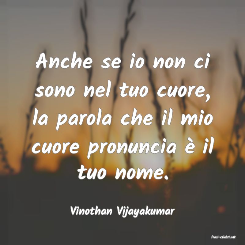 frasi di  Vinothan Vijayakumar
