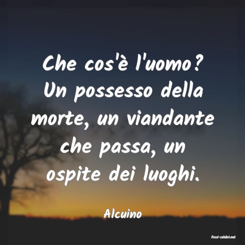 frasi di  Alcuino
