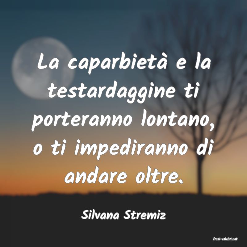 frasi di  Silvana Stremiz
