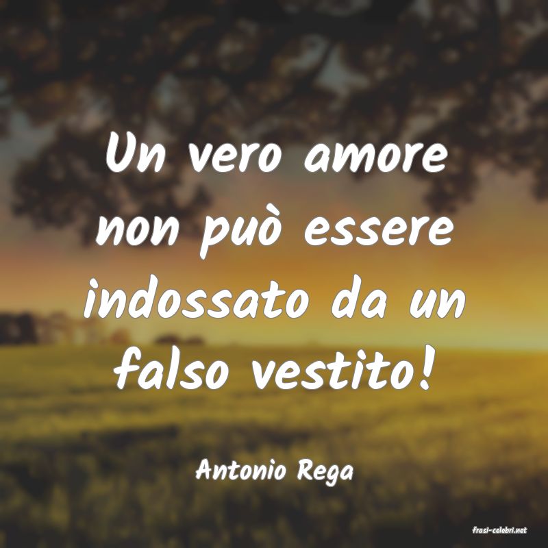 frasi di  Antonio Rega
