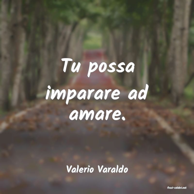 frasi di  Valerio Varaldo
