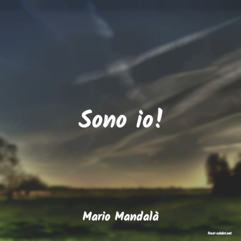 frasi di Mario Mandal�