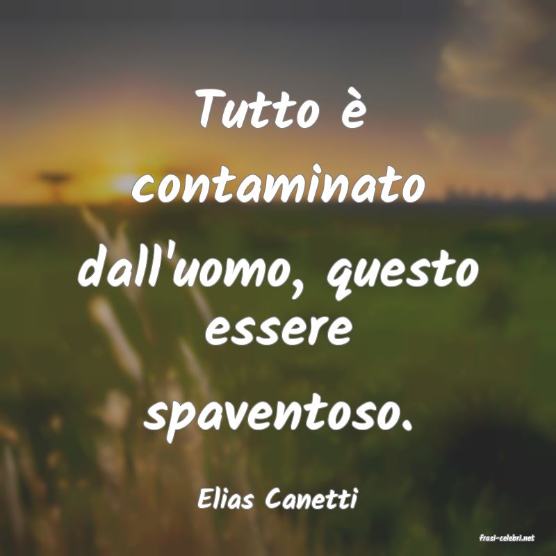 frasi di Elias Canetti
