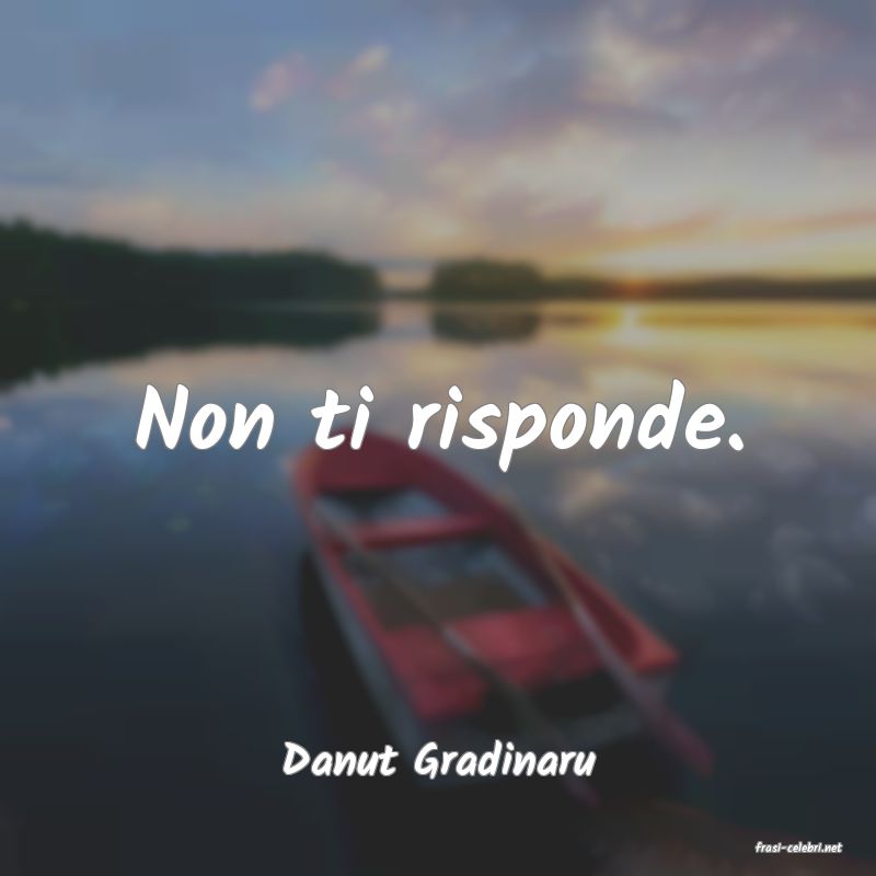 frasi di  Danut Gradinaru
