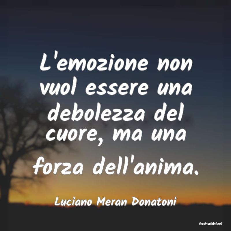 frasi di  Luciano Meran Donatoni
