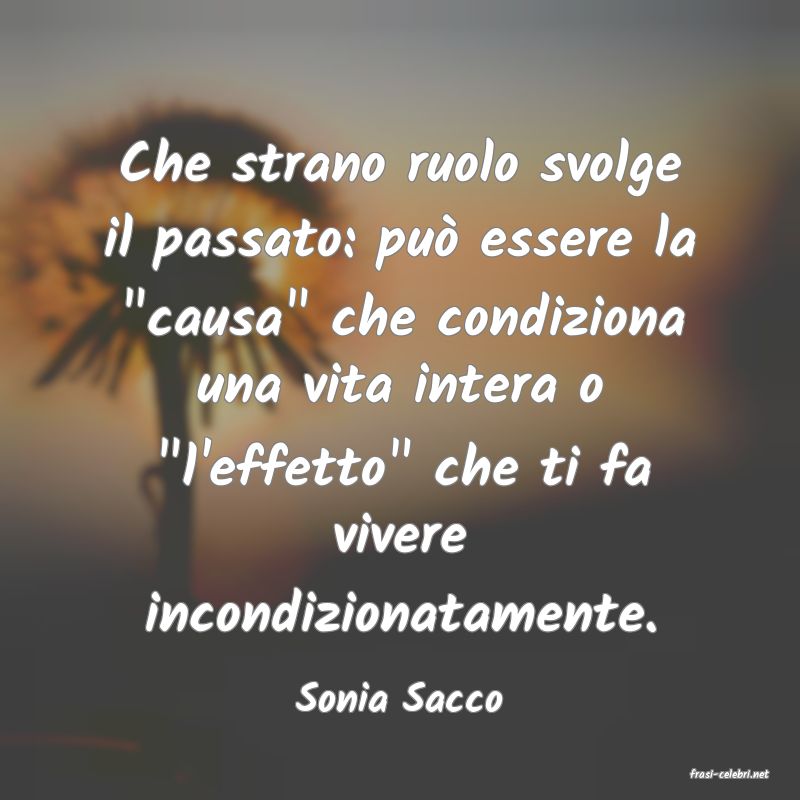 frasi di  Sonia Sacco

