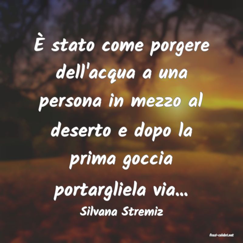 frasi di  Silvana Stremiz

