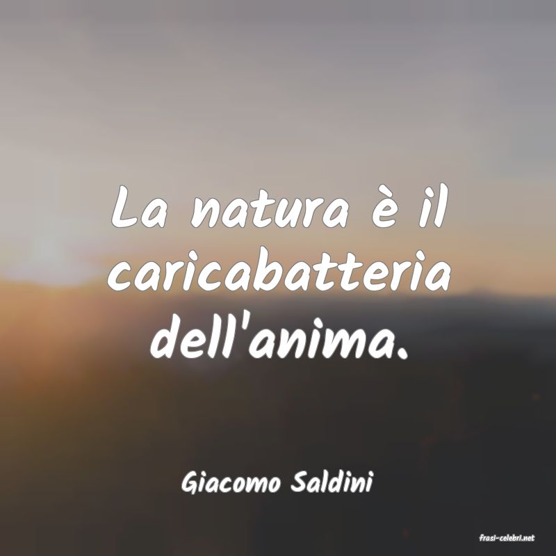 frasi di  Giacomo Saldini
