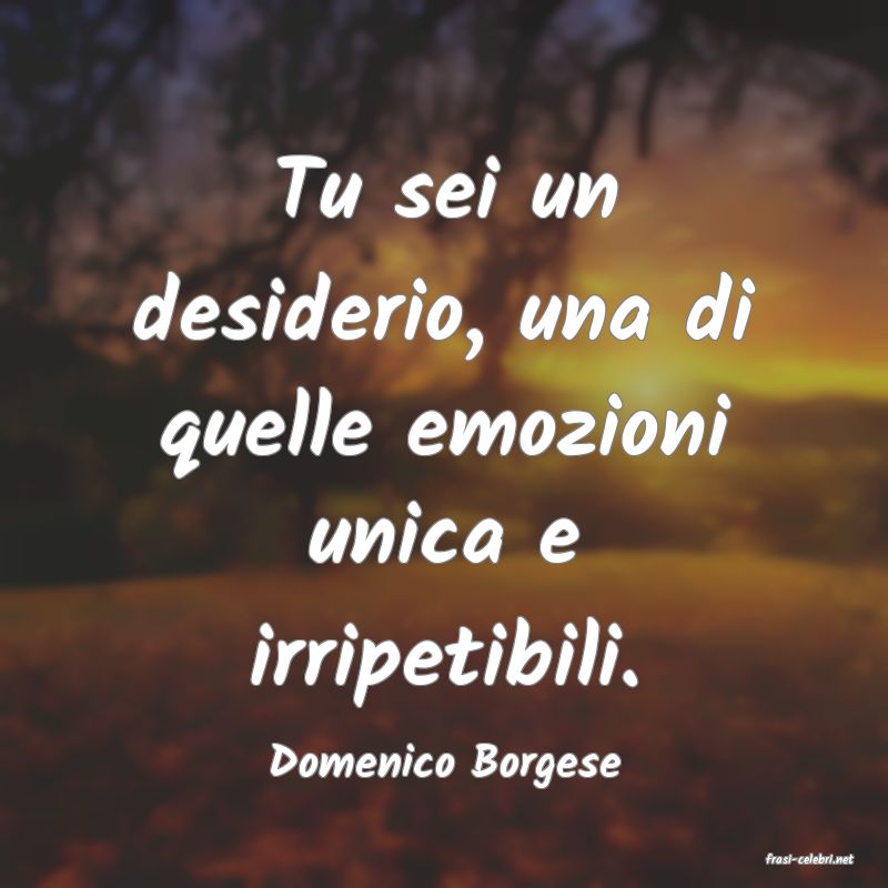 frasi di  Domenico Borgese
