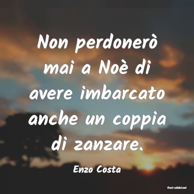 frasi di  Enzo Costa
