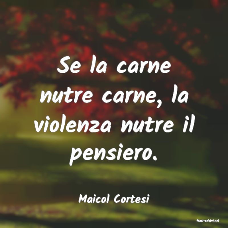 frasi di  Maicol Cortesi
