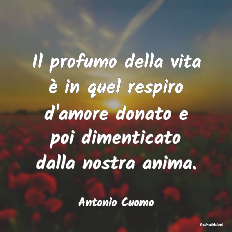 frasi di  Antonio Cuomo
