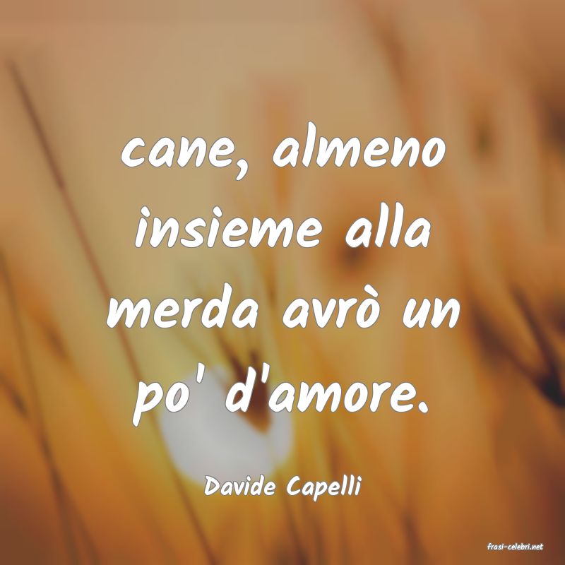 frasi di  Davide Capelli
