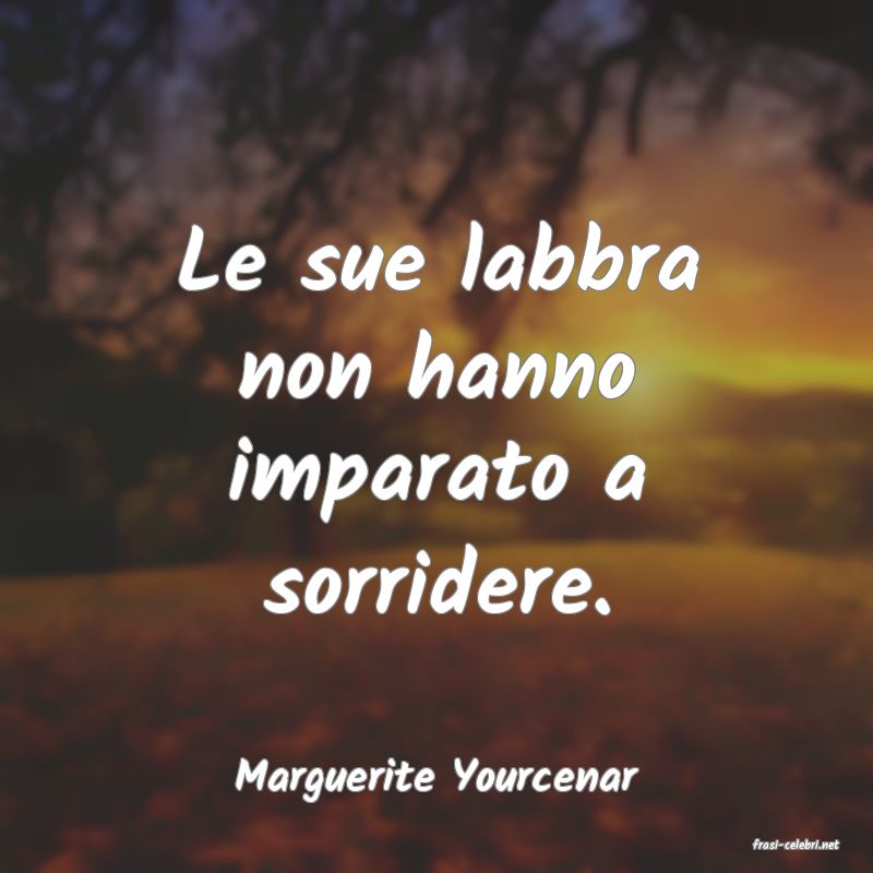 frasi di Marguerite Yourcenar