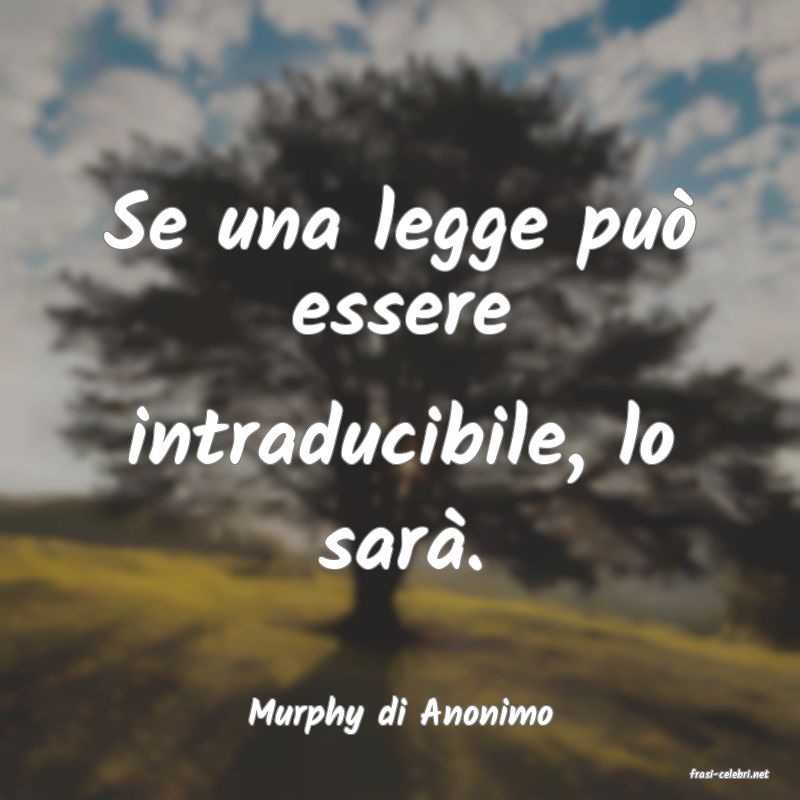 frasi di Murphy di Anonimo